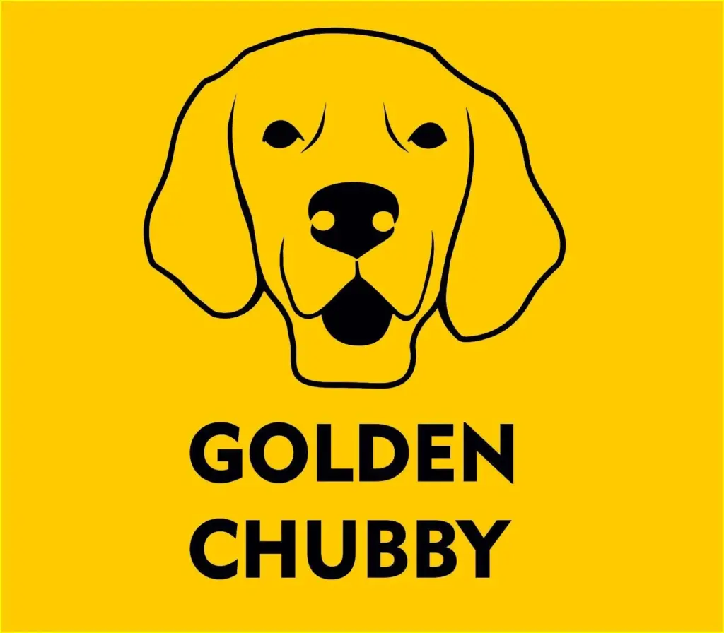 logo-Golden-chubbi